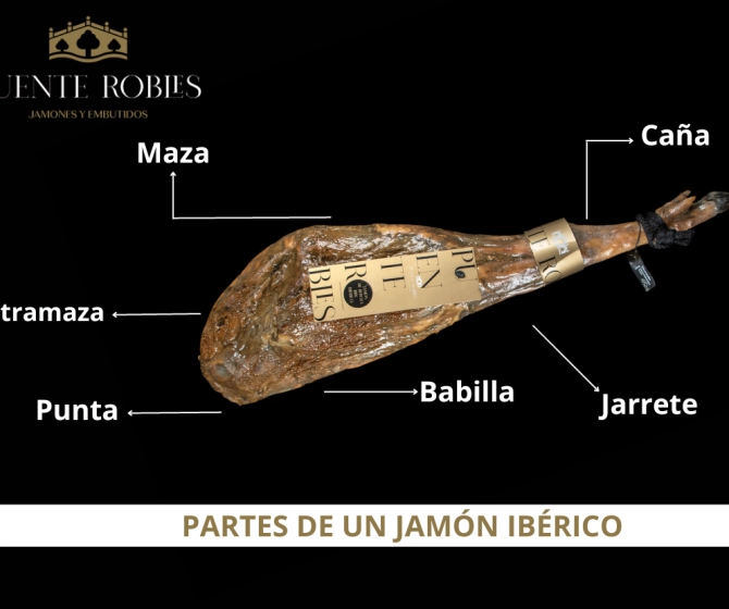 Partes de un jamón ibérico