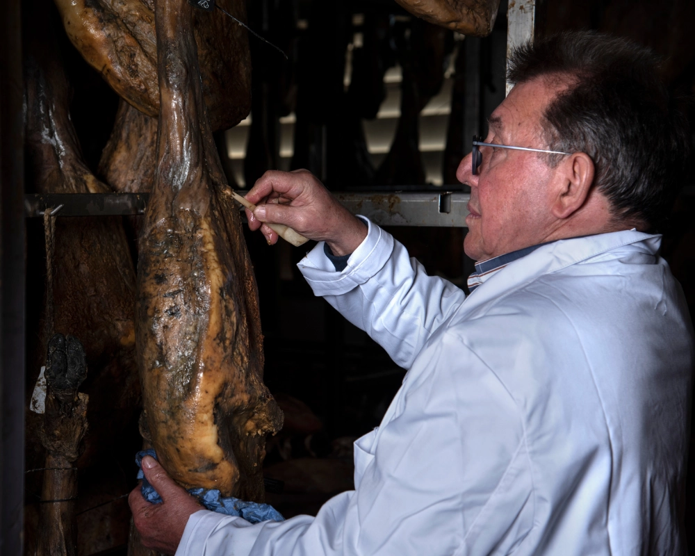 ¿Por qué elegir Puente Robles como tu proveedor?